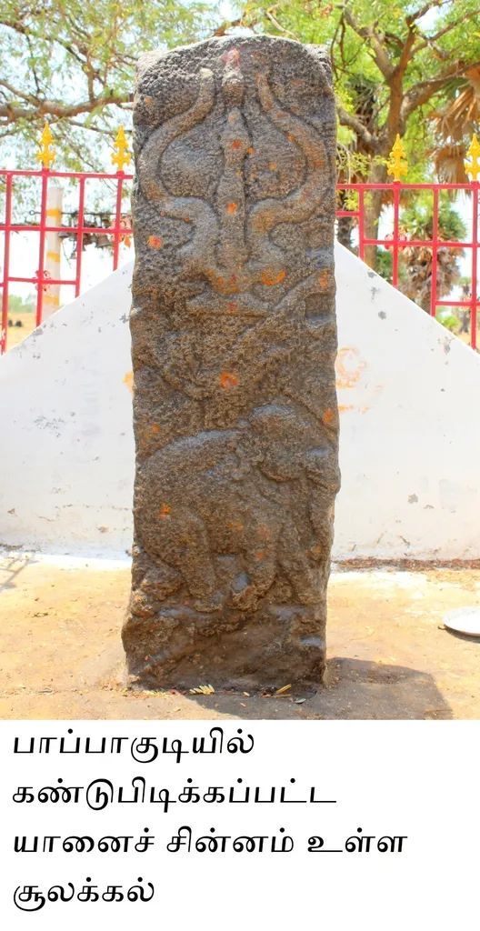  soolakkal discovered with Elephant symbol in Sattarasankottai 